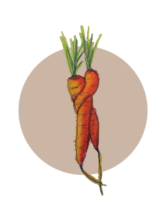 Genossenschaft die frischlinge