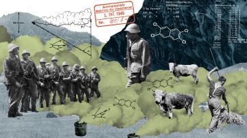 Collage von Marcel Bamert: historische Fotos und Ausschnitte aus Bauplänen und Dokumenten