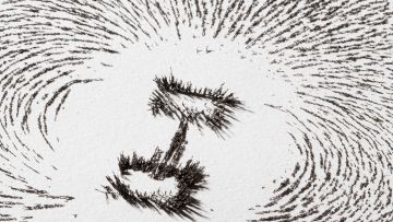 Eisenspäne, welche durch ein Magnetfeld angeordnet werden