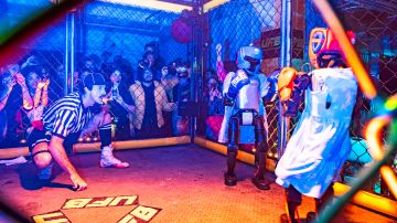 ferngesteuerte Roboter in Boxausrüstung kämpfen gegeneinander vor Publikum