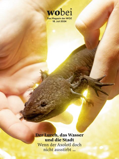 Heft-Cover des wobei Nr. 4 / 2024