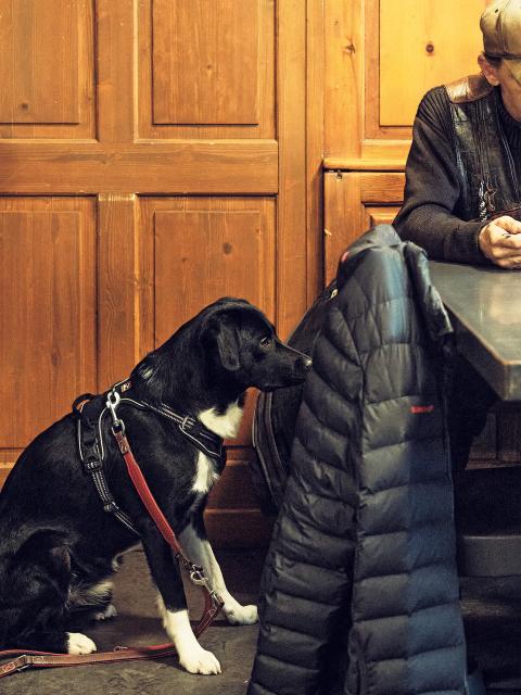 Ein Hund sitzt neben einer Person bei einem Tisch in der St. Galler Gassenküche