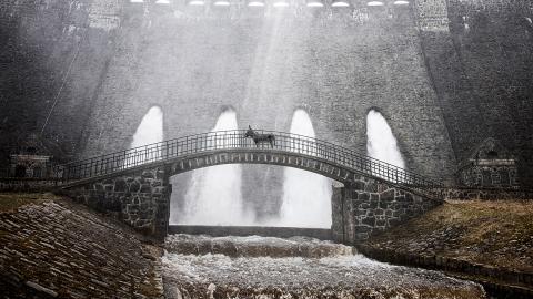 Filmstill aus dem Film «EO»: Ein Esel steht auf einer Steinbrücke vor einem Stauwerk
