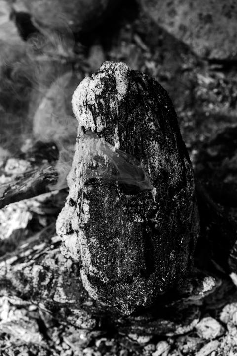 verkohltes Holz bei einer Feuerstelle im Badener Reservat Teufelskeller