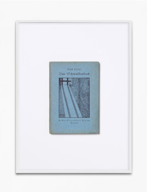 Buchcover von «Das Schwalbenbuch» von Ernst Toller in einem Bilderrahmen