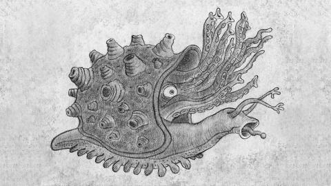 Illustration von Walter Moers: eine Hummdudel aus dem Tierreich Zamoniens