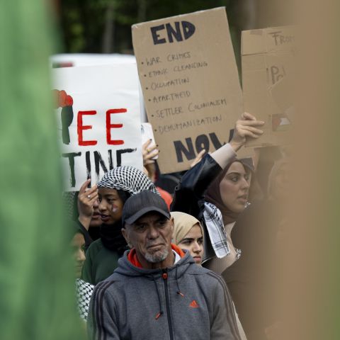 Pro-Palästina-Demonstration auf der Schützenmatte in Bern