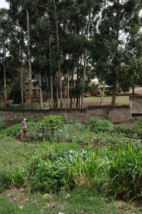 Gartenprojekt von Timothy Mulei und Khalid Munir