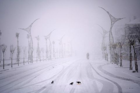 Schneesturm beim türkischen Küstenstädtchen Karasu am Schwarzen Meer