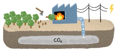 informative Illustration: Vorgang von BECCS (bioenergy with carbon capture and storage)