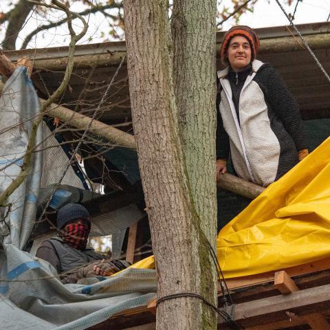 Carola Rackete auf einem Baumhaus bei der Besetzung des Dannenröder Forst gegen den geplanten Ausbau der A49