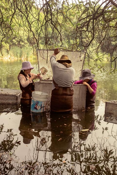 im Feuchtgebiet von Xochimilco nehmen Studentinnen der Autonomen Nationaluniversität von Mexiko-Stadt Wasserproben