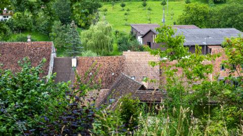Hausdächer im Dorf Oltingen im Baselbiet