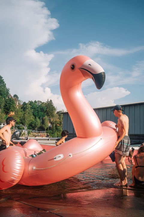 mehrere Personen tragen einen grossen Schwimm-Flamingo