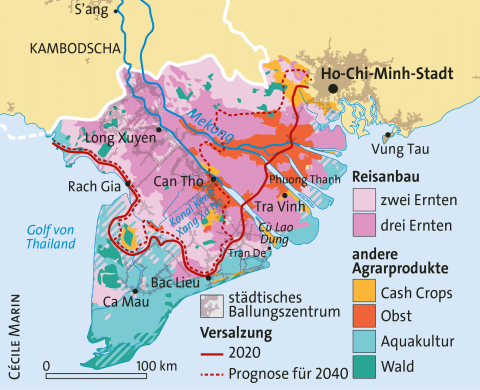 Karte des Mekongdelta: Städte, Lebensmittelproduktion und Versalzung