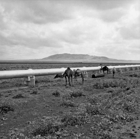 Erdölpipeline in Tunesien, 1959