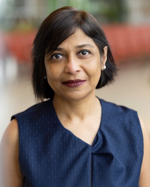 Portraitfoto von Joyeeta Gupta