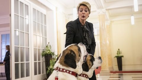 Karin Keller-Sutter mit ihrem Patenhunden Zeus du Grand St. Bernard und dessen Tochter Lio