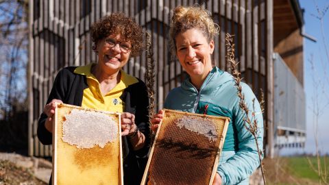 Nina Eberhard und Waltraud Kugler zeigen Bienenwaben