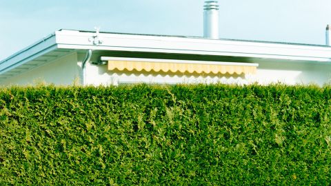 Symbolbild: ein Haus hinter einer Hecke