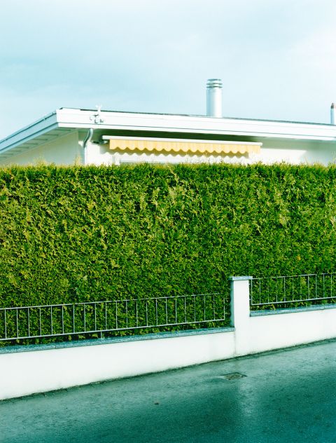 Symbolbild: ein Haus hinter einer Hecke