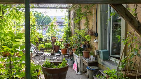 Terassengarten in der Siedlung «Toujours»