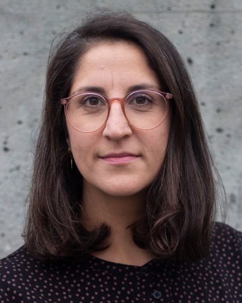 Portraitfoto von Saghi Gholipour