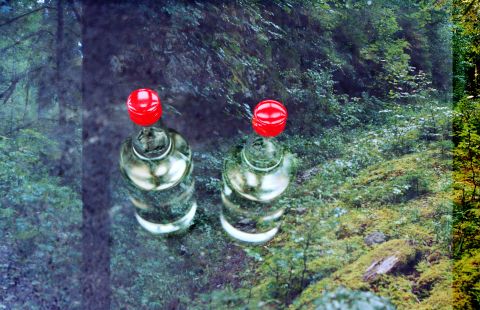 Foto-Doppelbelichtung: Glasflaschen mit Absinth und eine moosbedeckte Waldlichtung