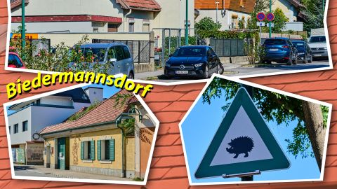 Postkarte von Biedermannsdorf