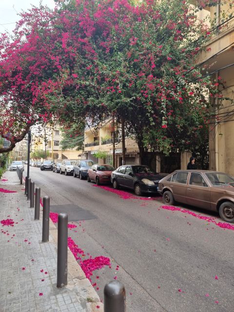Strasse mit blühenden Bäumen im Beiruter Achrafieh-Viertel