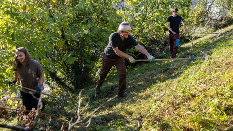 Zivildienstleistende bei Mäh-Arbeiten in Zürich