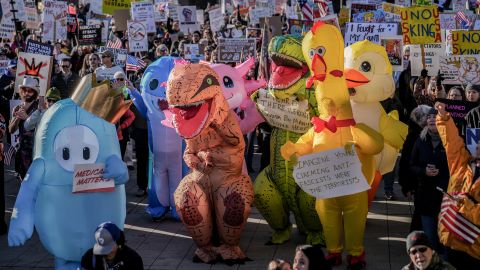 mehrere Personen in Fantasie-Kostümen an der «No Kings»-Demonstration am 18. Oktober in Anchorage