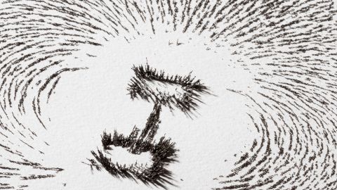 Eisenspäne, welche durch ein Magnetfeld angeordnet werden