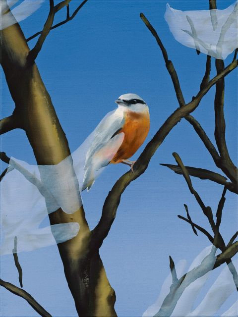 Ellen Akimoto, Bird and Ghosts, 2025, Öl und Acryl auf Leinwand, 40 × 30 cm