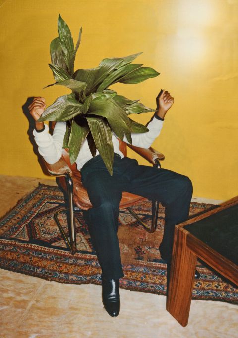 Fotocollage: eine Person sitzt auf einem Stuhl, aus dem Oberkörper wächst eine Zimmerpflanze