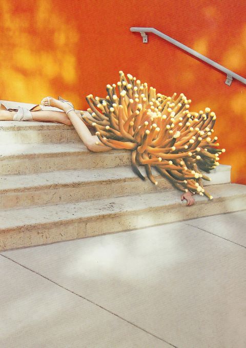 Fotocollage: eine Person liegt auf einer Treppe, aus dem Oberkörper wächst eine Koralle