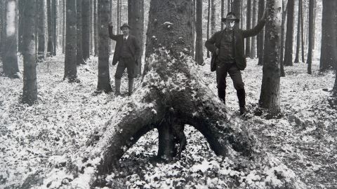 zwei Männer stehen neben einer «Stelzen-Fichte»