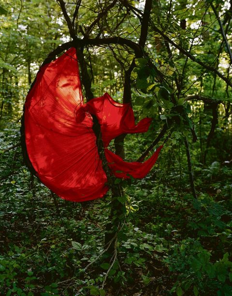 Riitta Päiväläinen, Red Spin, 2005, aus der ­Serie ­Aomori Blue Forest, Archival ­pigment print, 90 × 70 cm