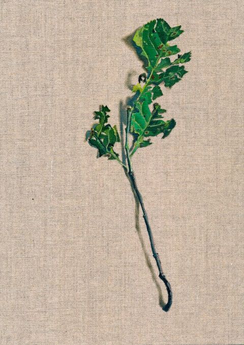 Maria und Natalia Petschatnikov, Leaf Nr. 6 (aus der Serie ­Leaves), 2022, Öl auf Leinwand, 29,5 × 23,5 cm