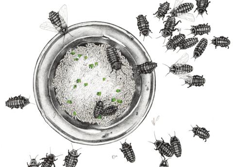 illustration von Elisa Huber