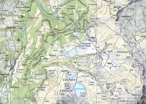 Ausschnitt aus einer Landkarte von Swisstopo