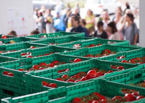  Grassrooted-Tomatenverkaufsaktion Ende Juni unterhalb der Zürcher Hardbrücke