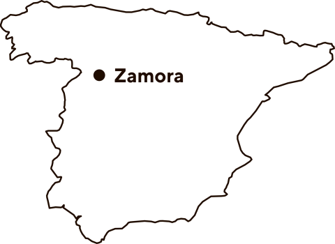 Karte von Spanien, wo die Stadt Zamora eingezeichnet ist