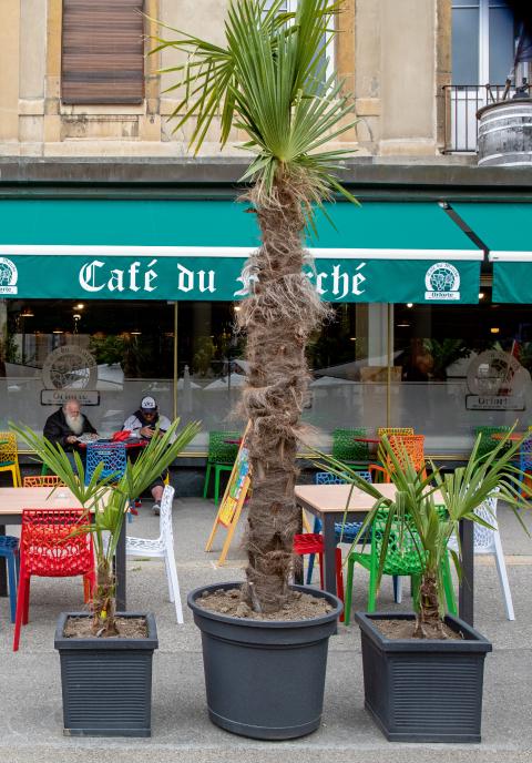 das Café du Marché in Le Locle