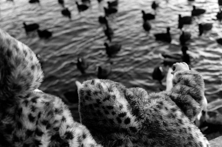 zwei Kinder mit Wildkatzenmuster-Jacken schauen Enten auf dem Wasser zu