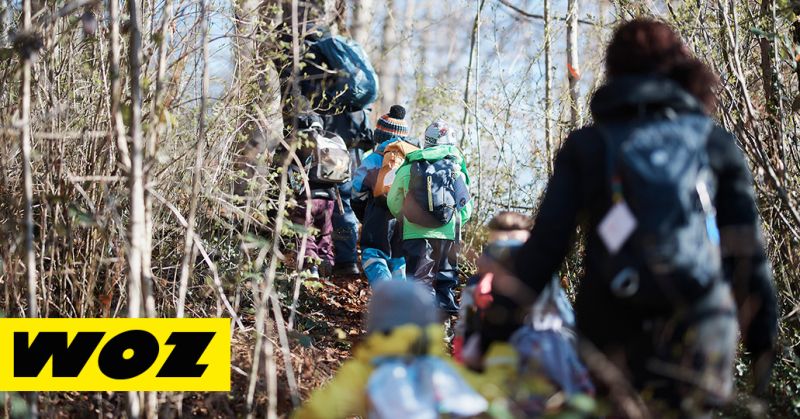 Spielgruppen: Waldtorte im Bürzelbaum