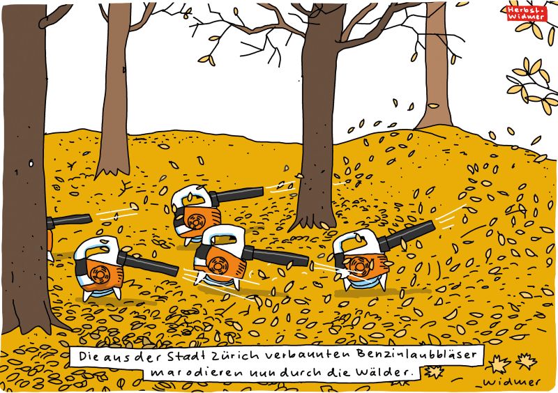 Cartoon von Ruedi Widmer