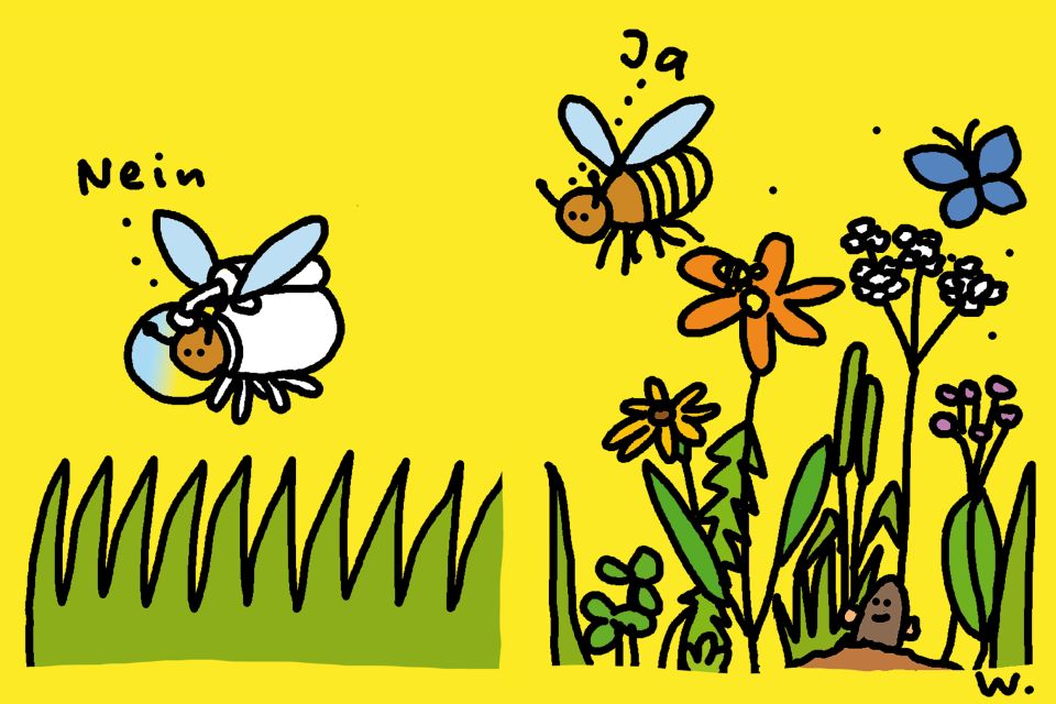 Illustration von Ruedi Widmer: eine Biene im Schutzanzug über Agrar-Monokultur und eine Biene über einer Blumenwiese