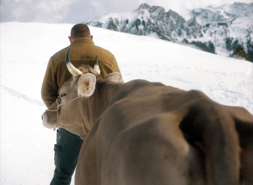 Filmstill aus dem Film «Drii Winter»: Mensch mit Kuh im Schnee