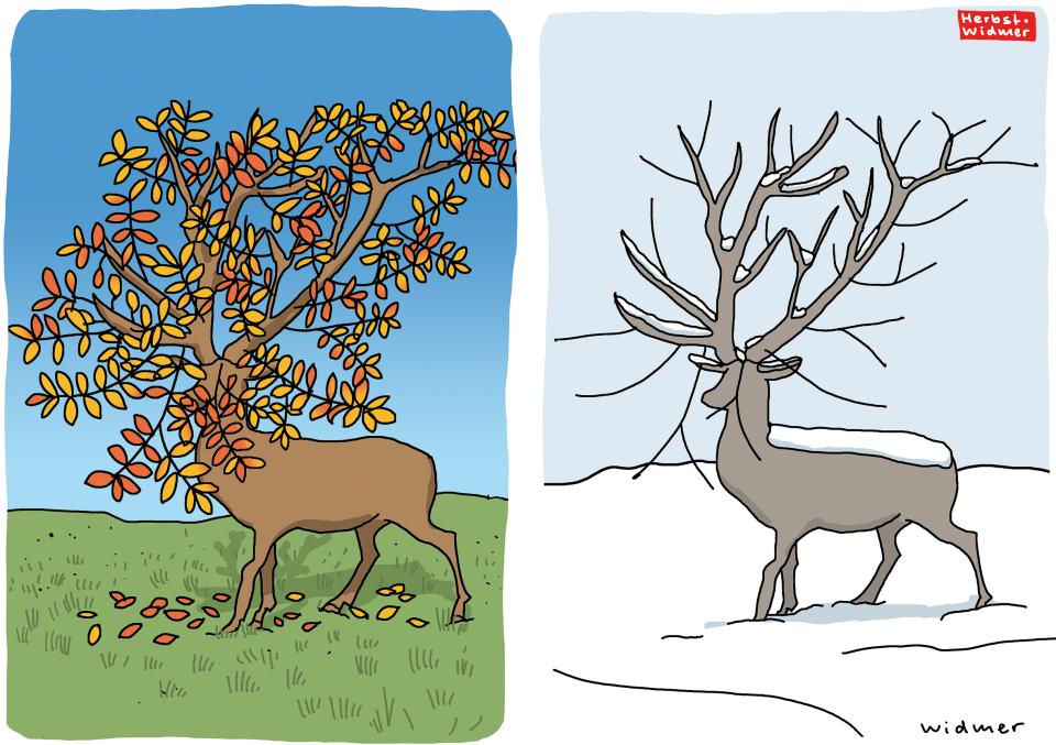 Ein Hirsch mit einem Geweih in Form von Baumästen: im Herbst mit Blättern und im Winter schneebedeckt